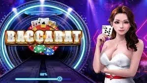 bet667 What the bet667 Casino Carries